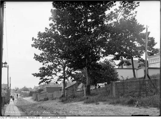 Erie Terrace (later Craven Rd.) June 16, 1916