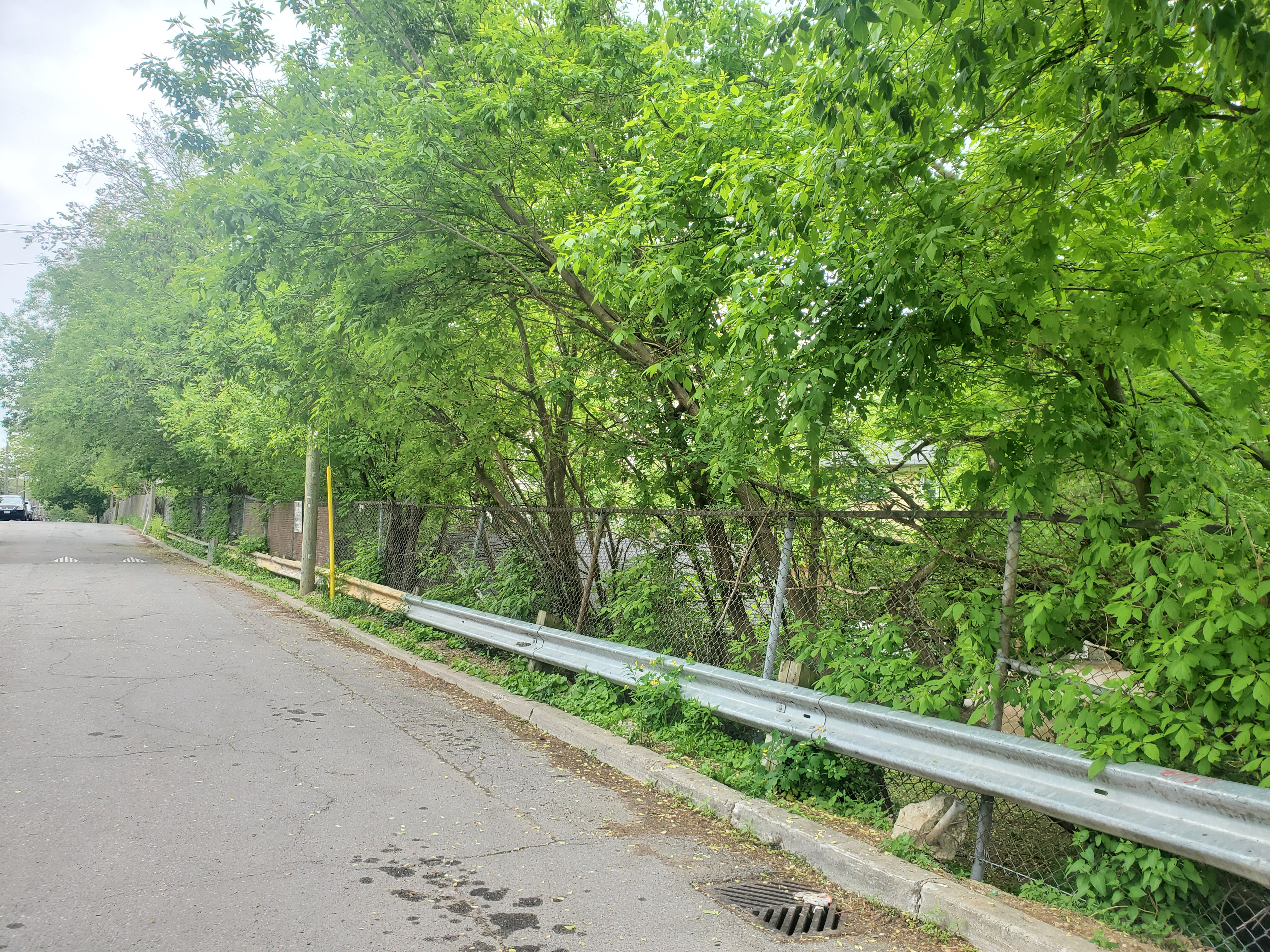Sorth end of Craven