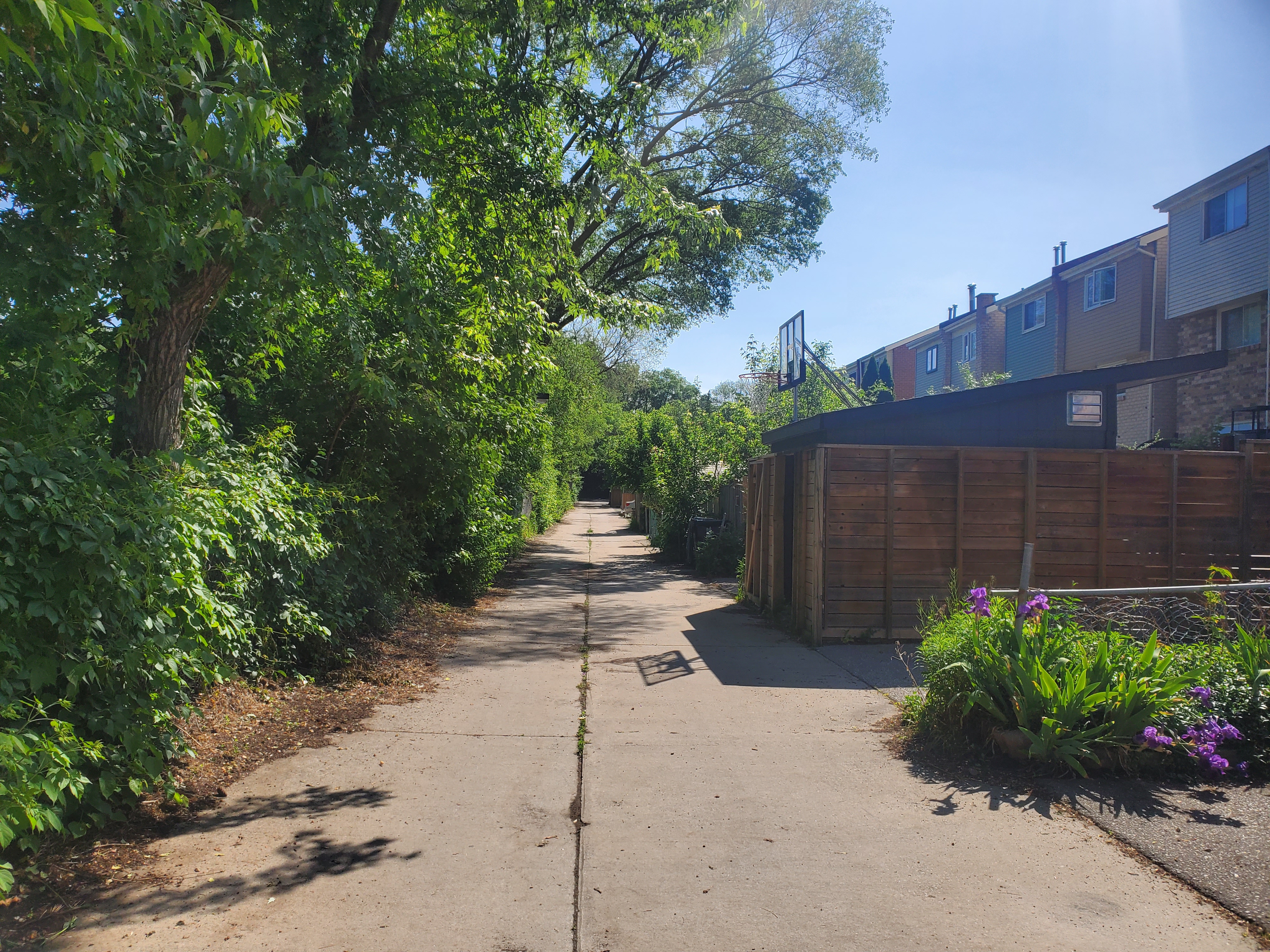 Lane North Torbrick East Unity Road 4