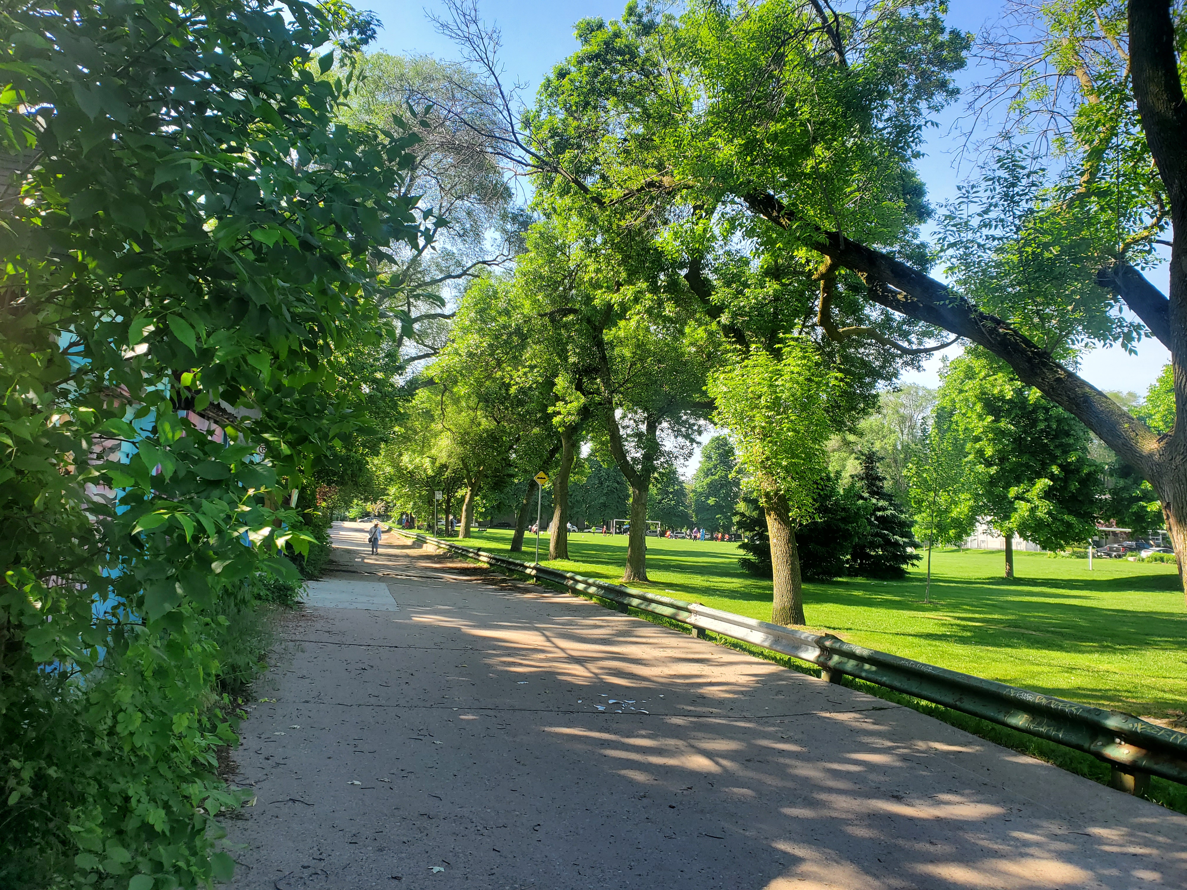 Laneway along Feldstead park 2