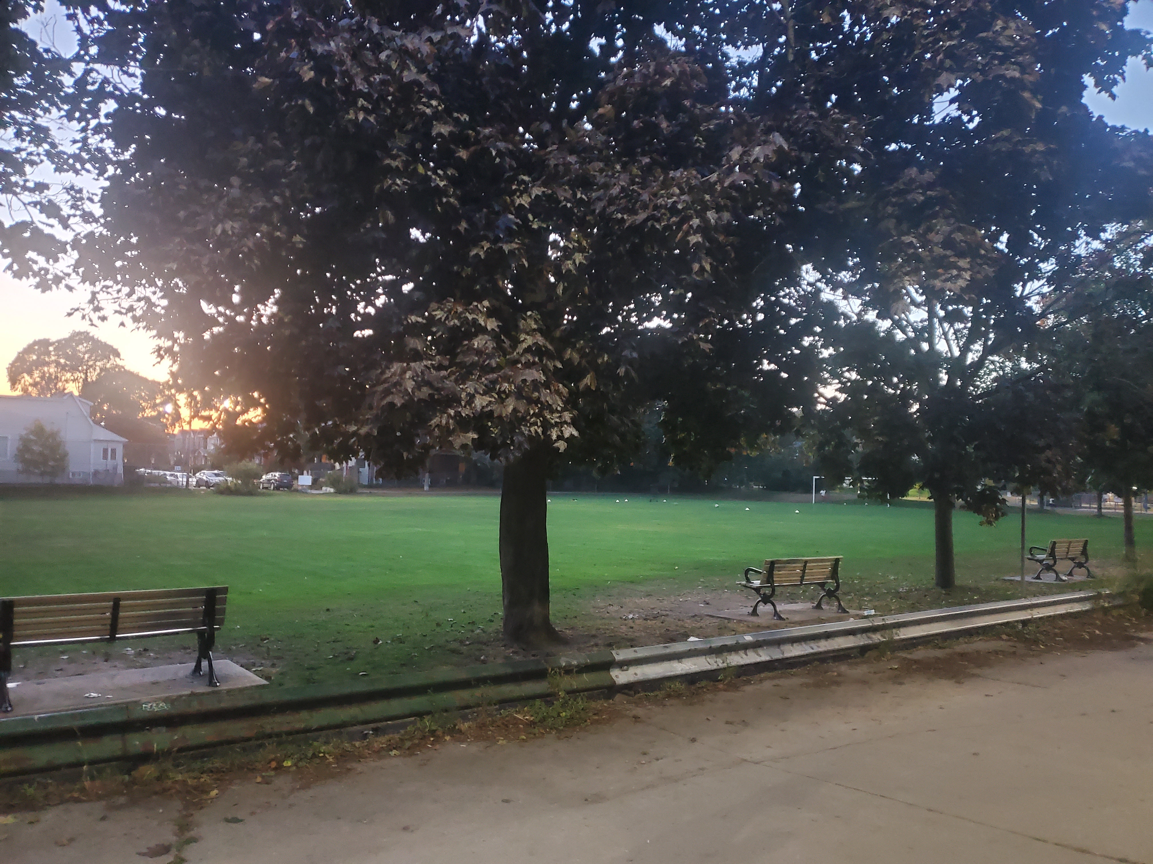 View from Laneway onto Feldstead Park